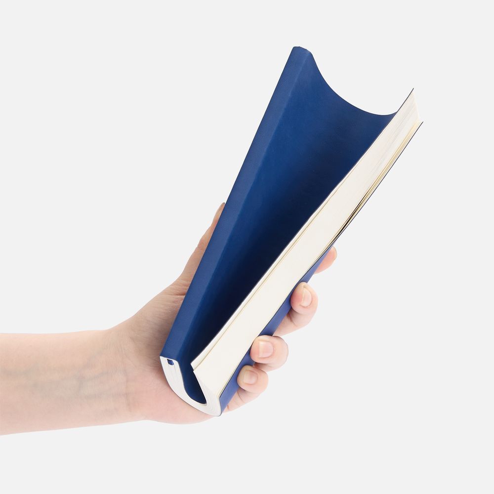 Ежедневник Flat Light ver.2, недатированный, синий
