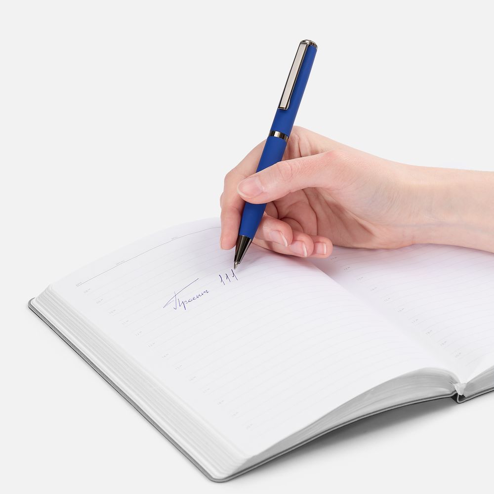 Ручка шариковая Inkish Gunmetal в футляре, синяя