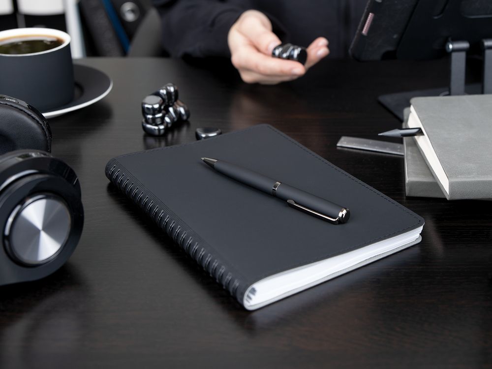 Ручка шариковая Inkish Gunmetal в футляре, белая