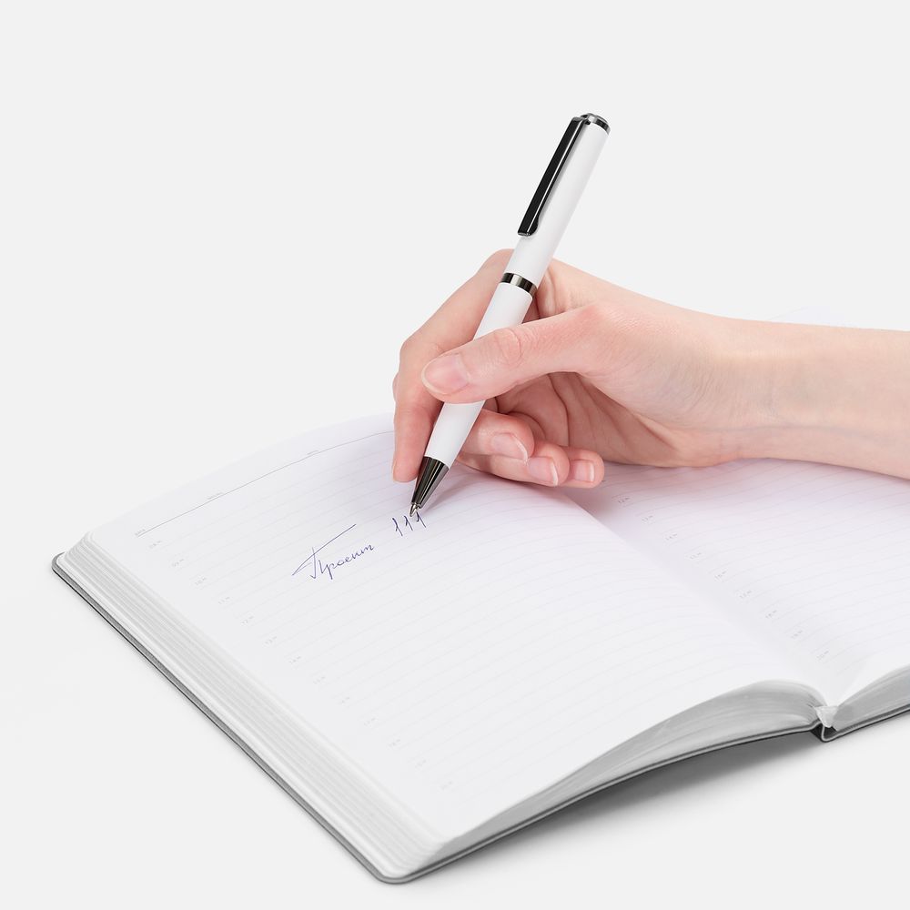 Ручка шариковая Inkish Gunmetal в футляре, белая