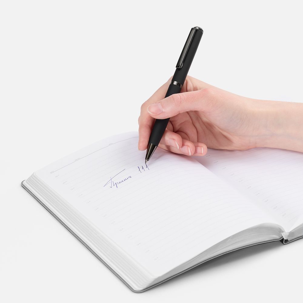 Ручка шариковая Inkish Gunmetal в футляре, черная