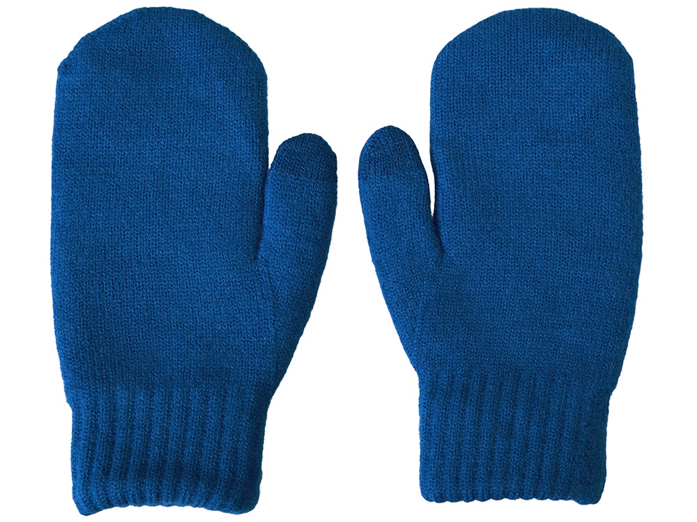 Варежки Dunant, классический синий