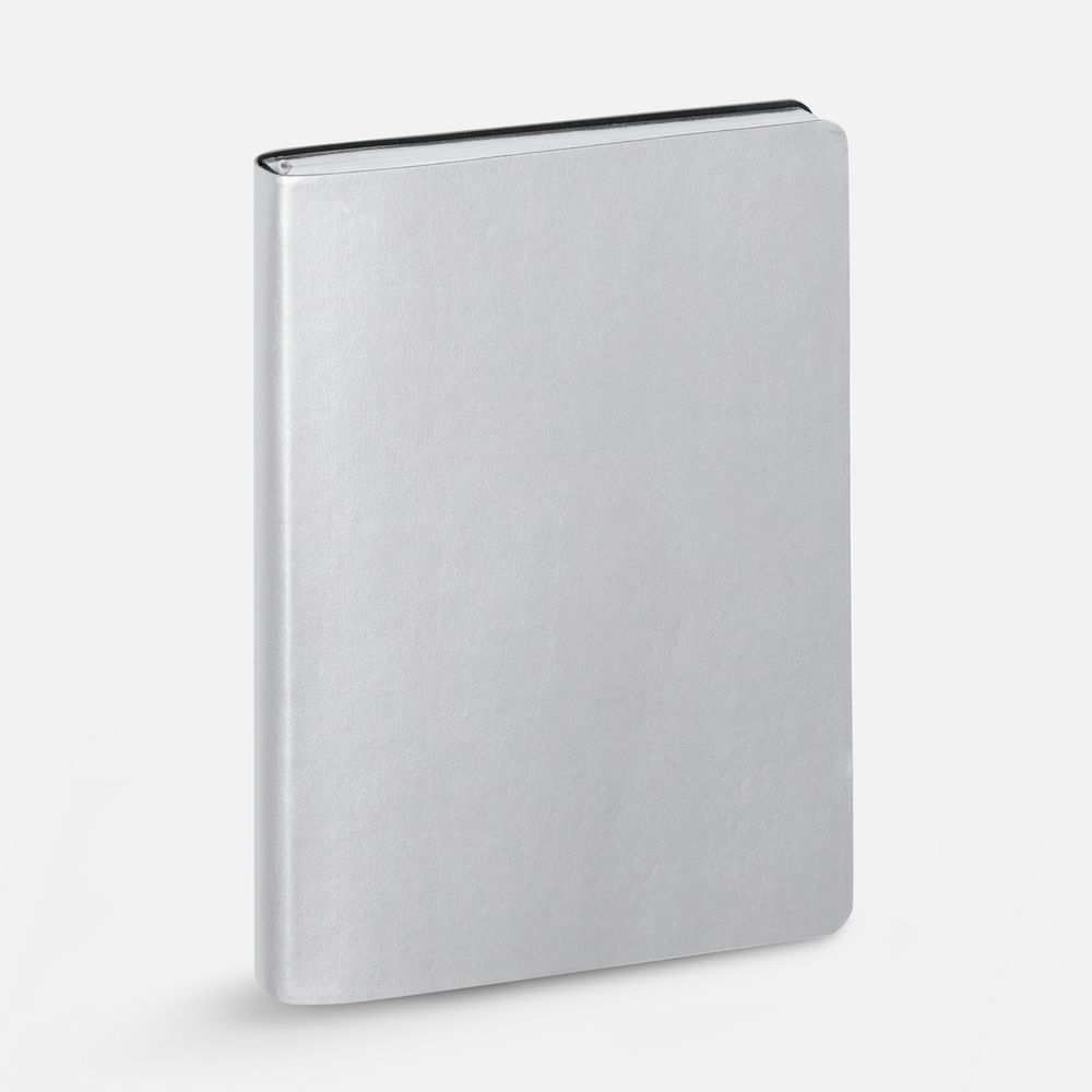 Ежедневник Nebraska Flex, недатированный, ver. 2, серебристый