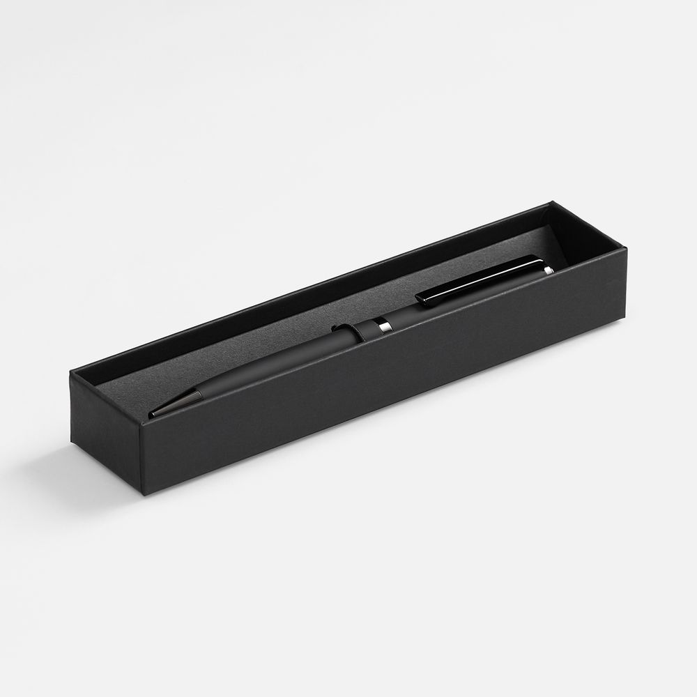 Ручка шариковая Inkish Gunmetal в футляре, черная