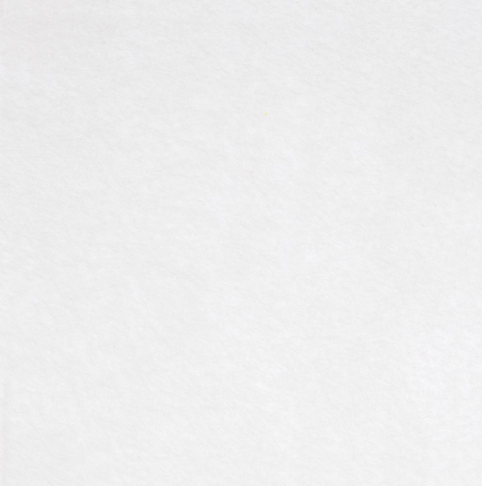 Заготовка из фетра Felt 100, белая