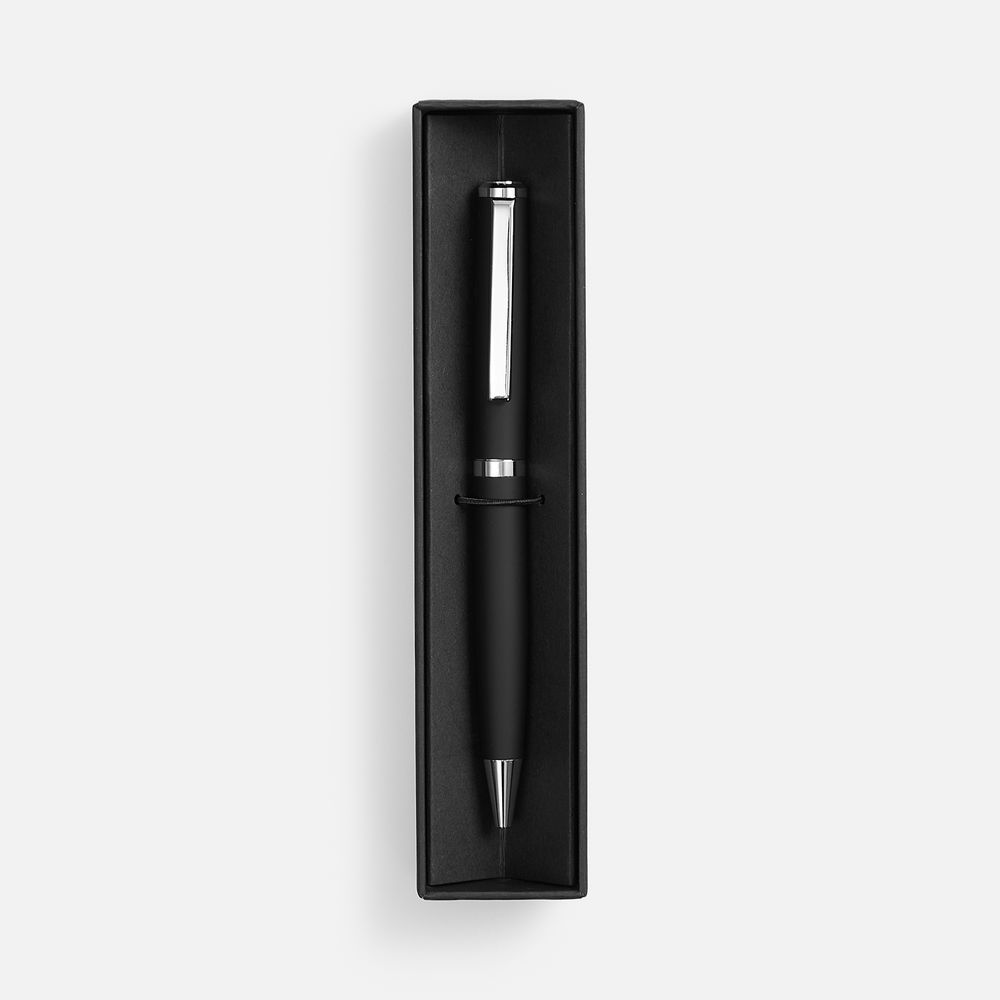 Ручка шариковая Inkish Chrome в футляре, черная