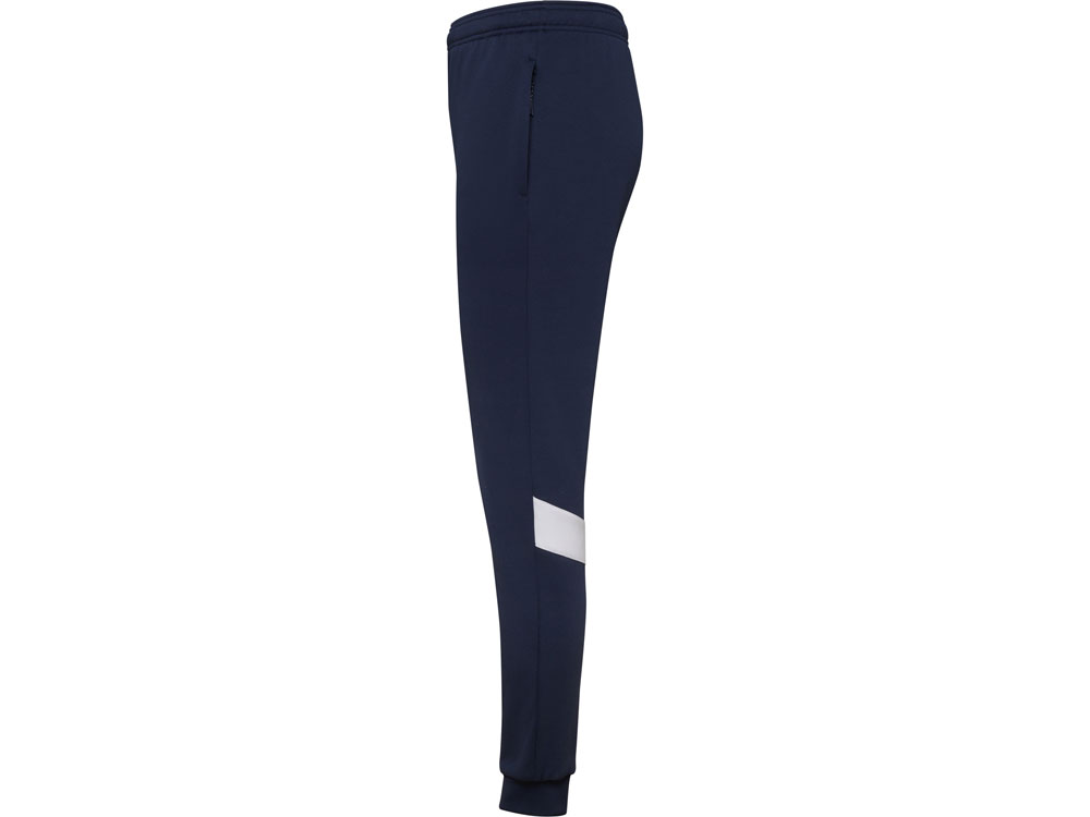 Брюки спортивные Rodas мужские, синий нэйви