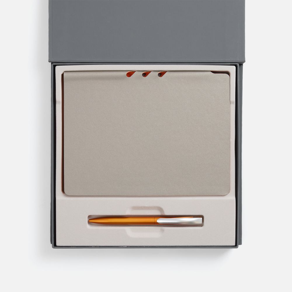 Набор Flexpen Grey, оранжевый