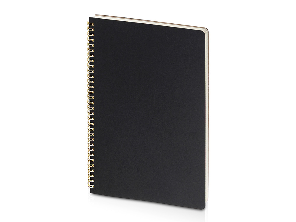 Бизнес тетрадь на гребне А4 Pragmatic, 100 листов в клетку, черный